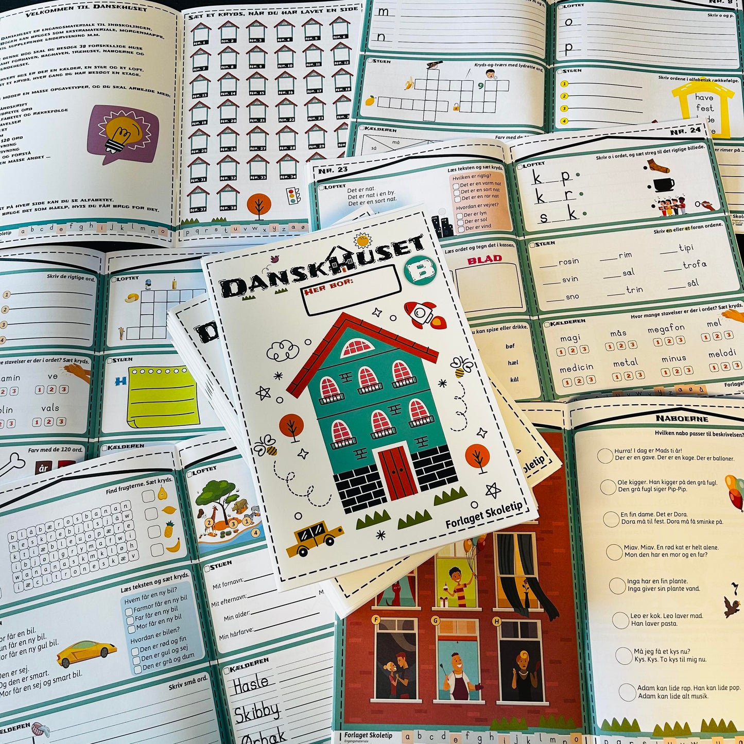 Danskhuset B (1. årgang)